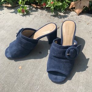 Ann Taylor Blue Suede Mule Heels
